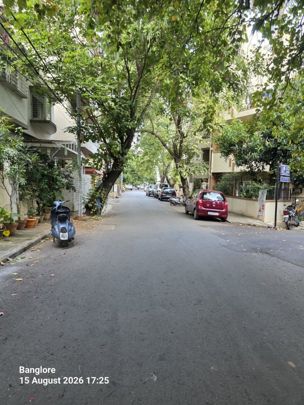A quiet, tree-lined residential street in Bangalore