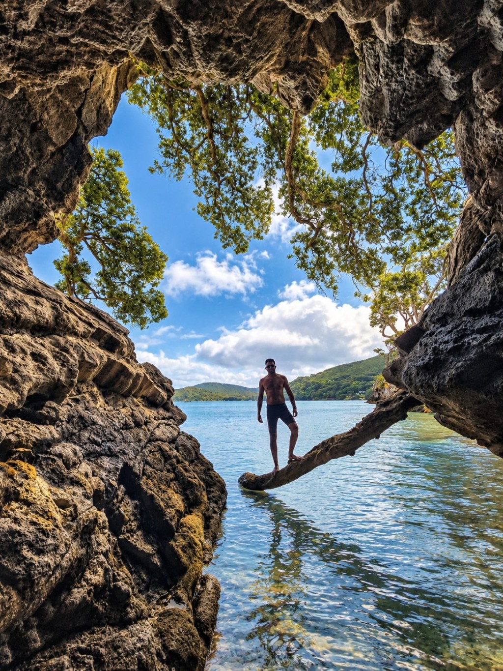 Thana standing on a tree branch above the water, framed by rocks and trees