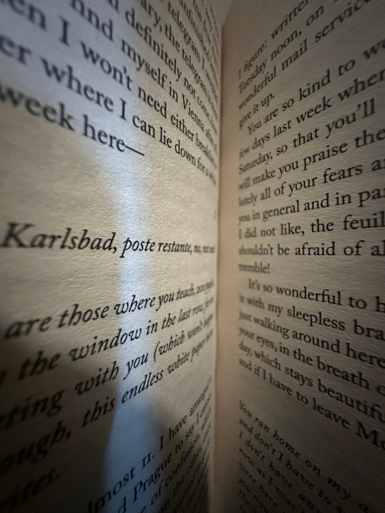 An open book photographed closely while reading