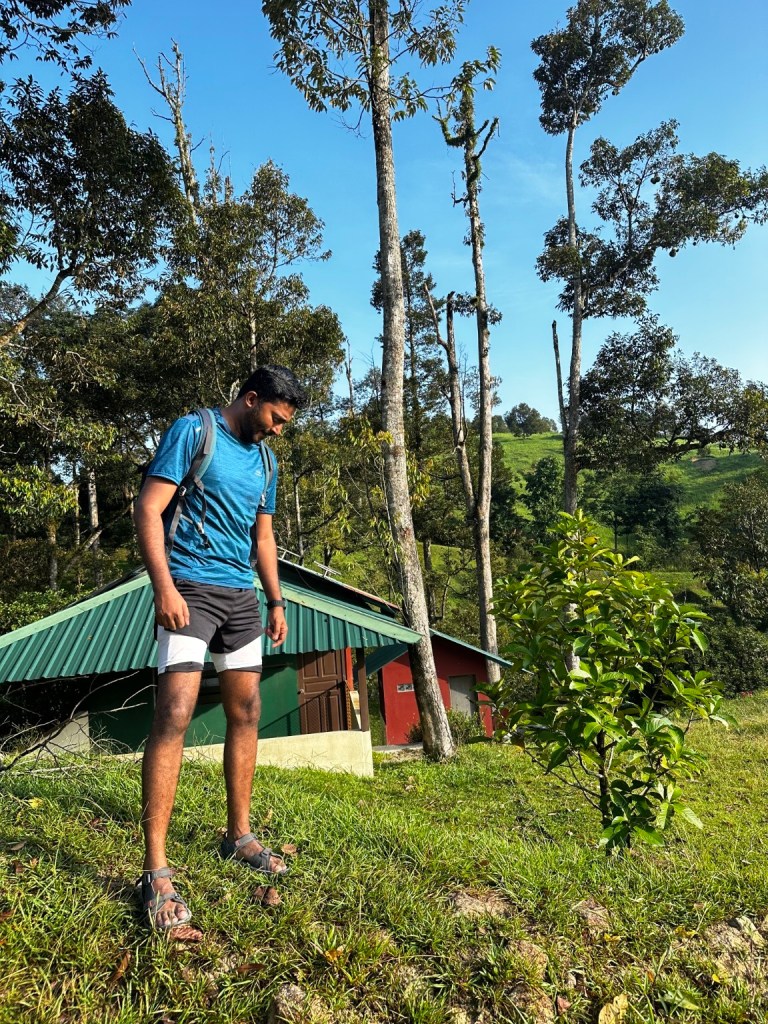 Thana in a blue shirt and hiking sandals among tall trees