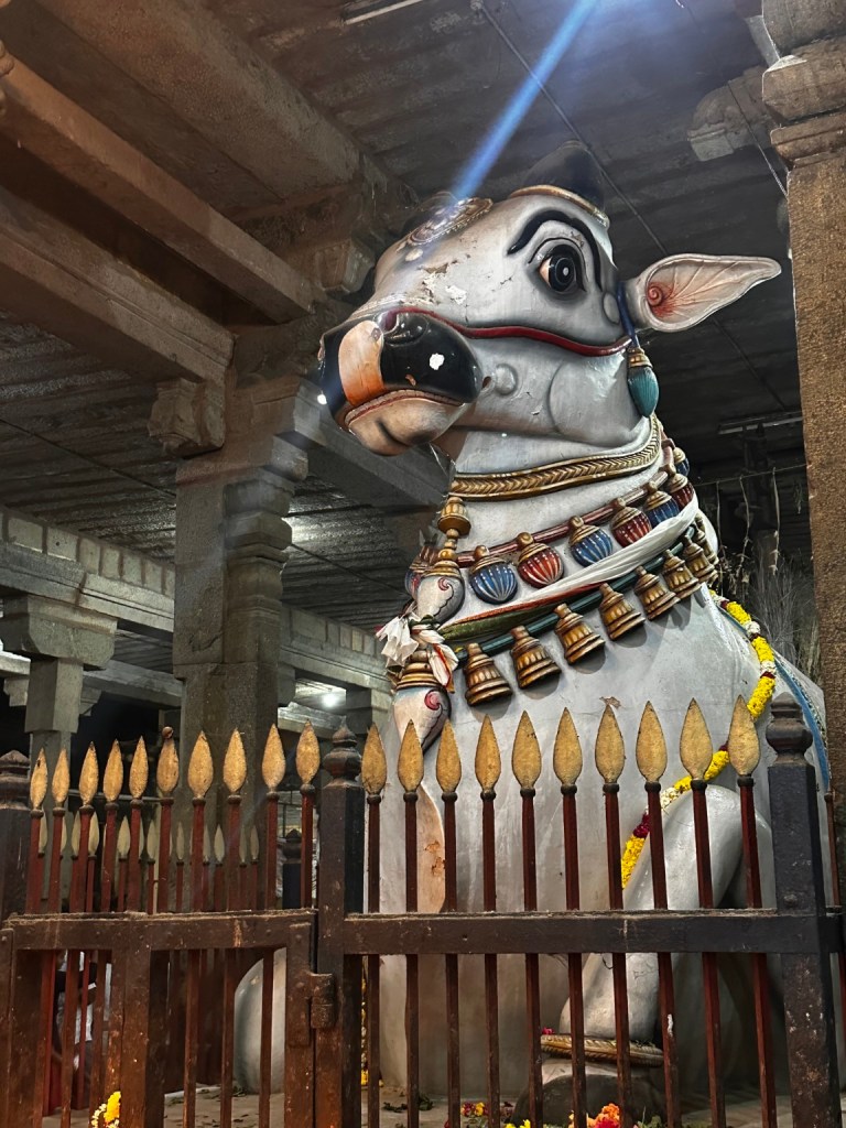 Decorated Nandi statue beneath a temple roof