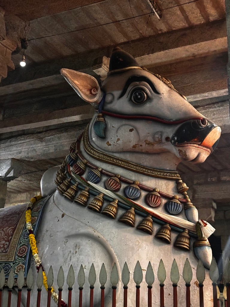 Close view of a decorated Nandi statue