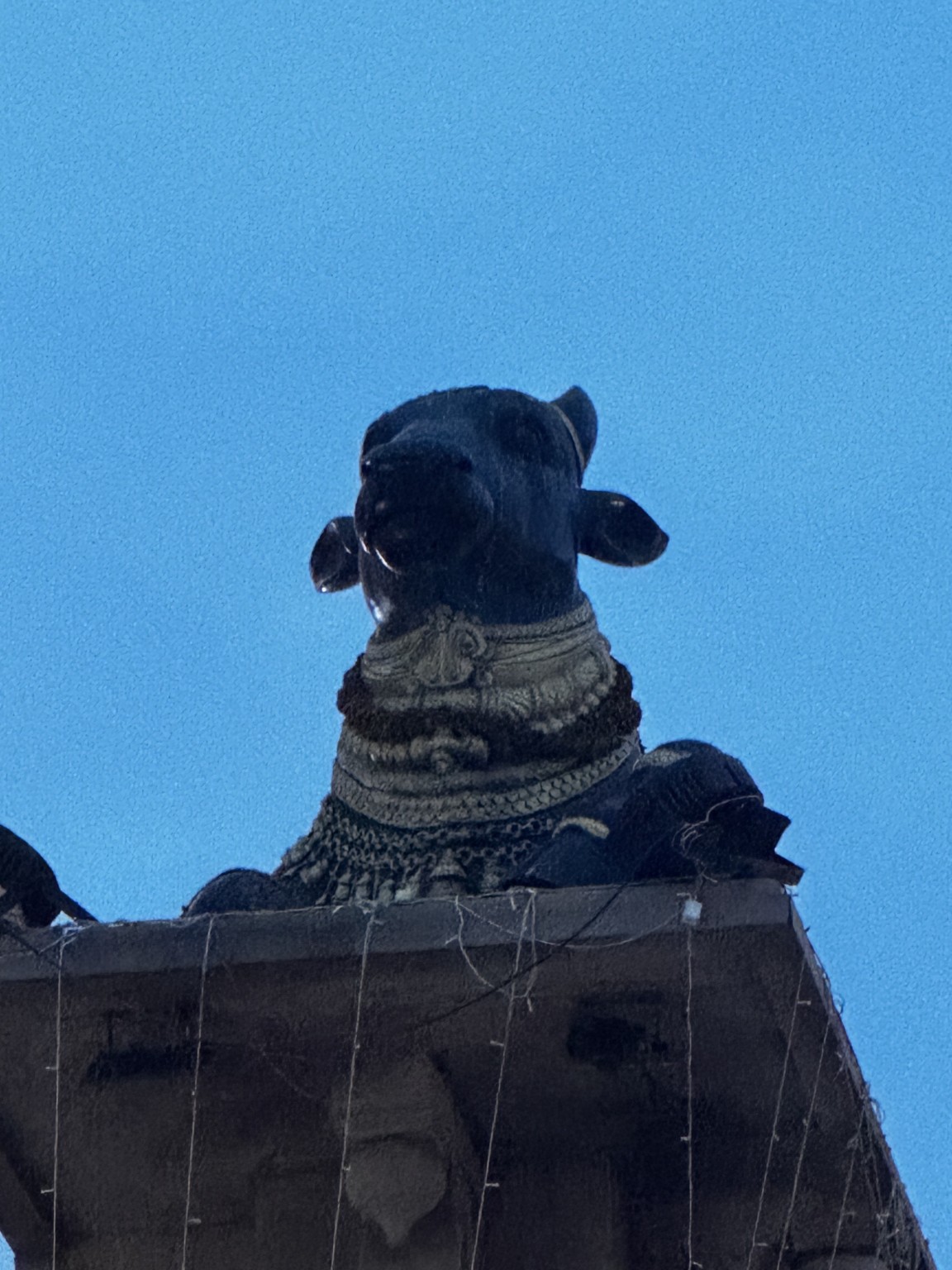 Nandi beneath a blue canopy.