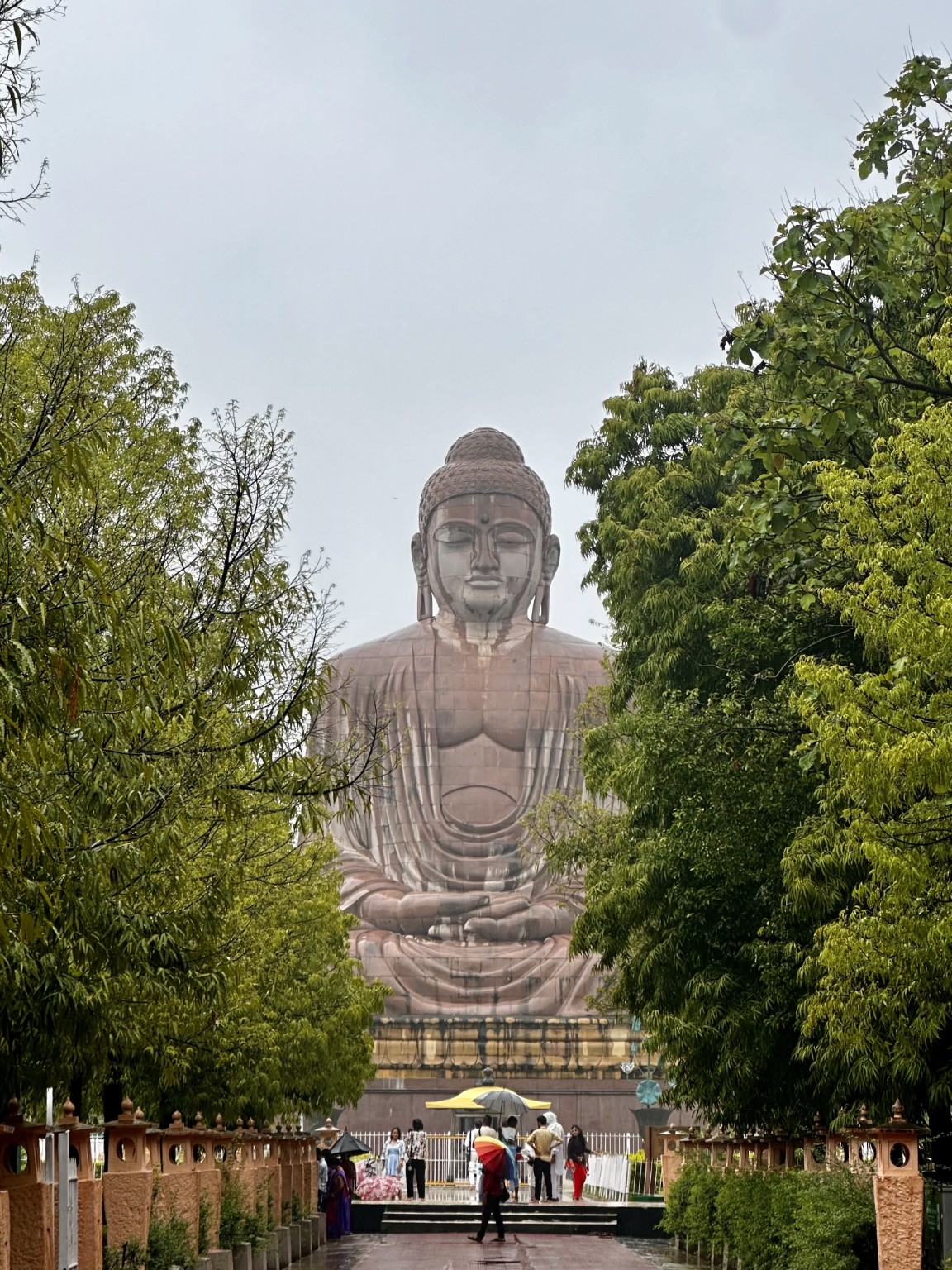 Giant Buddha statue seen along a tree-lined path