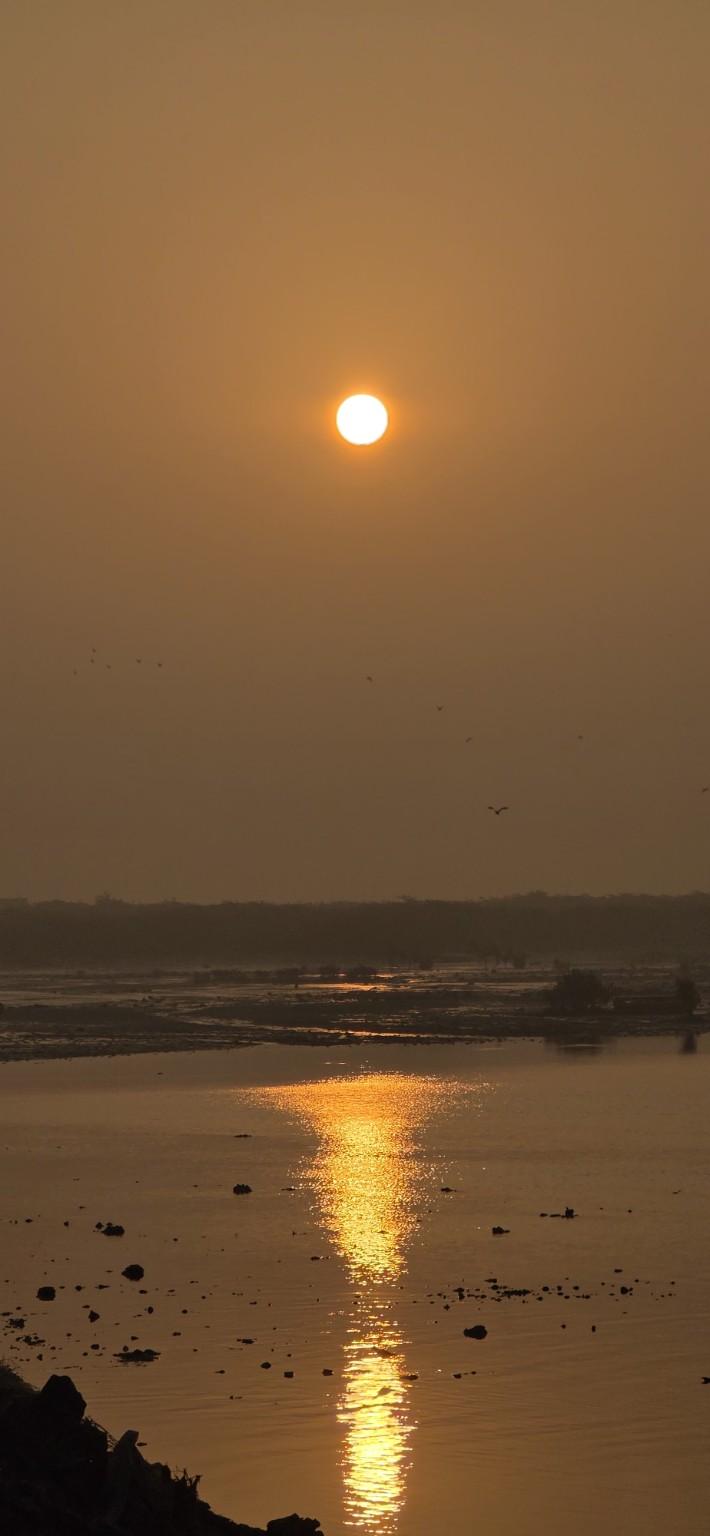 Orange sunrise and birds above the water in Dwarka